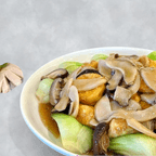 Best Stir-Fried Mushroom with Yuzi Tofu鲜菇扒玉子豆腐 in Houston, TX